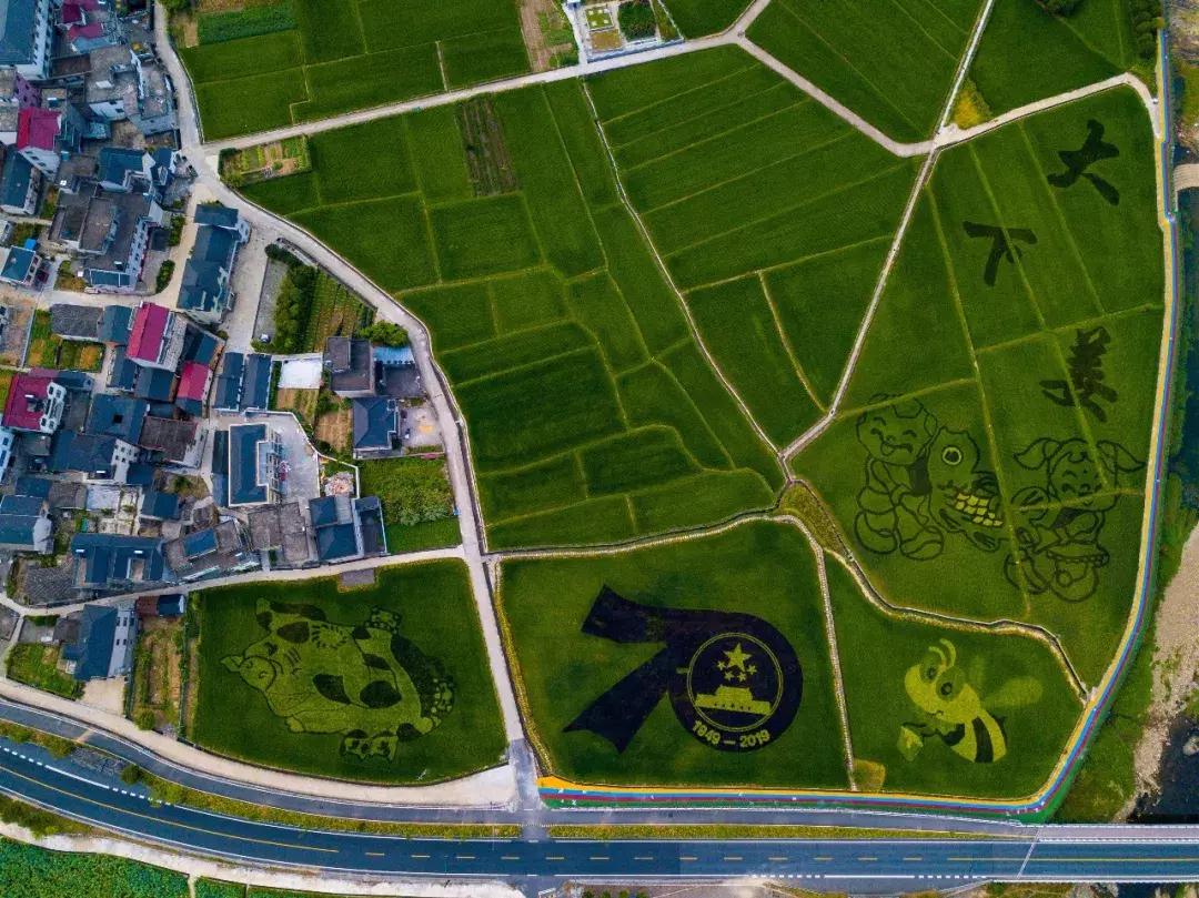 钱塘江出现巨幅画作,钱塘江大潮图片绘画