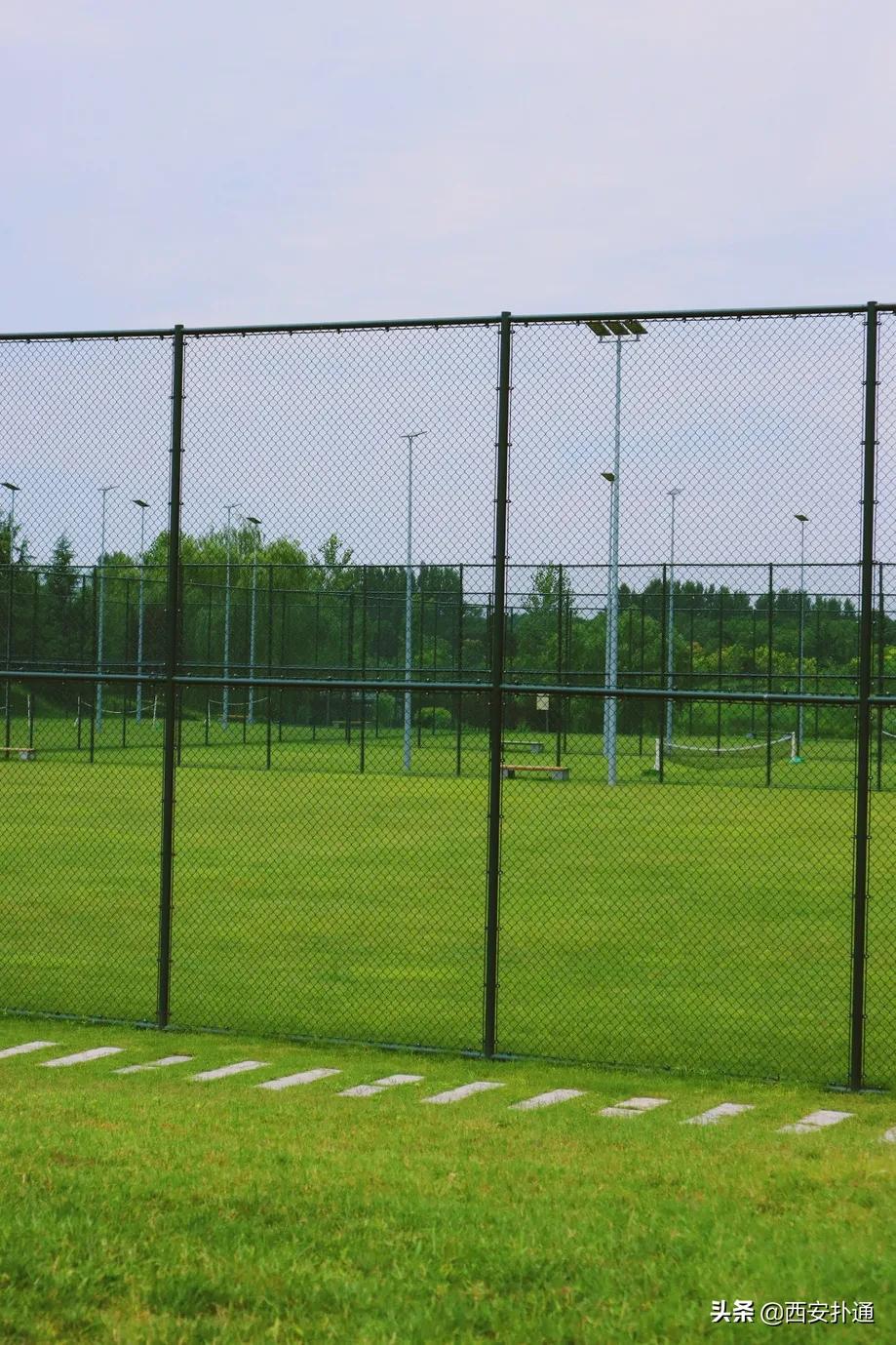 西安大草坪公园推荐,西安有大草坪的公园