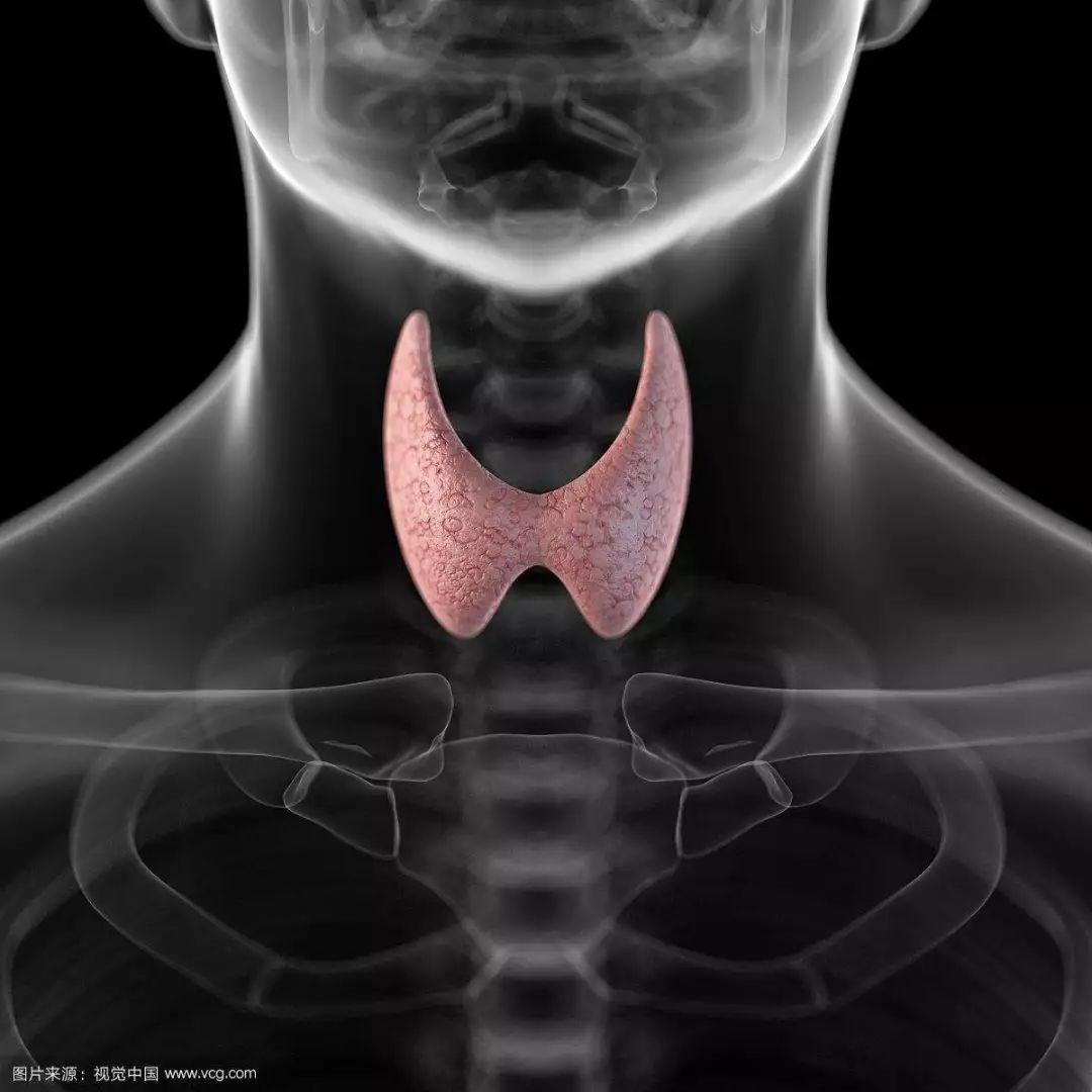 dha有助于恢复智力吗,促进大脑发育需要补充dha吗