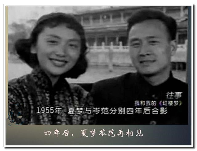 绝代佳人夏梦小说,绝代佳人夏梦简介