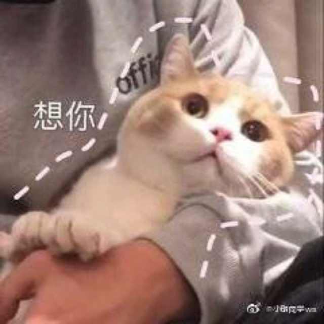 表情包我能怎么办,表情包我能怎么办呢