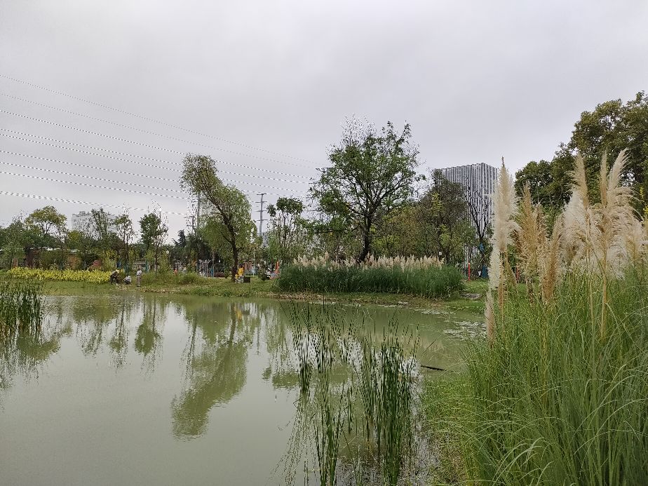 合肥撮街pk贡街,合肥贡街美食一条街