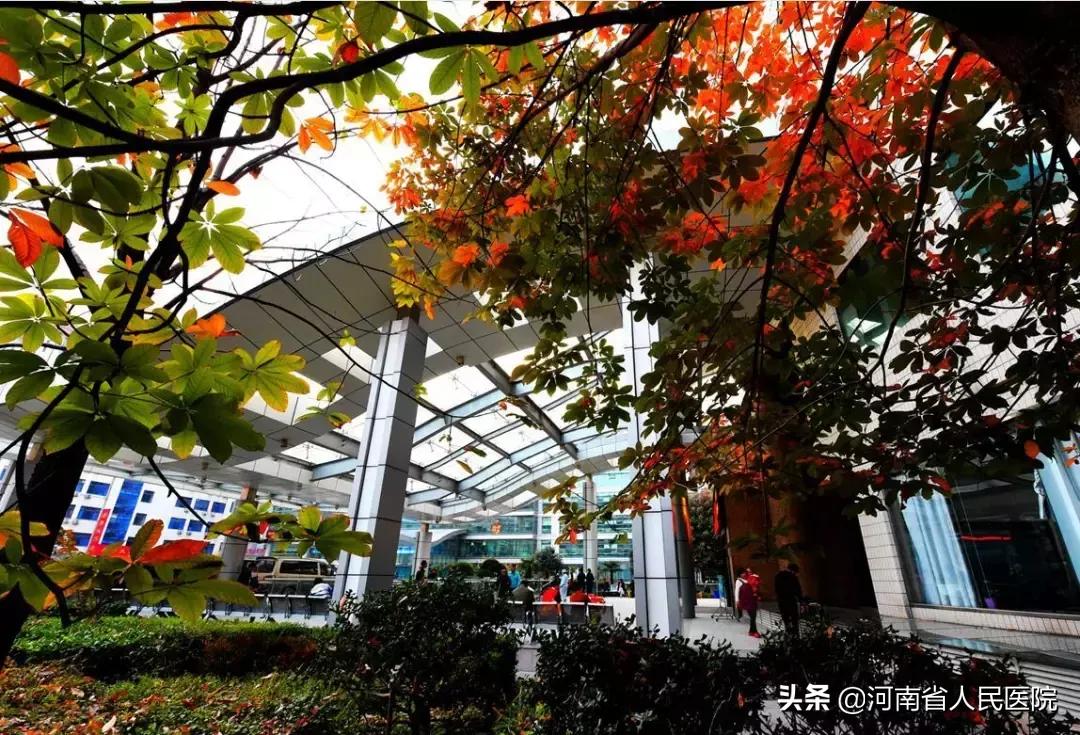 快速治疗肛周痒,治疗肛胀的生活方法