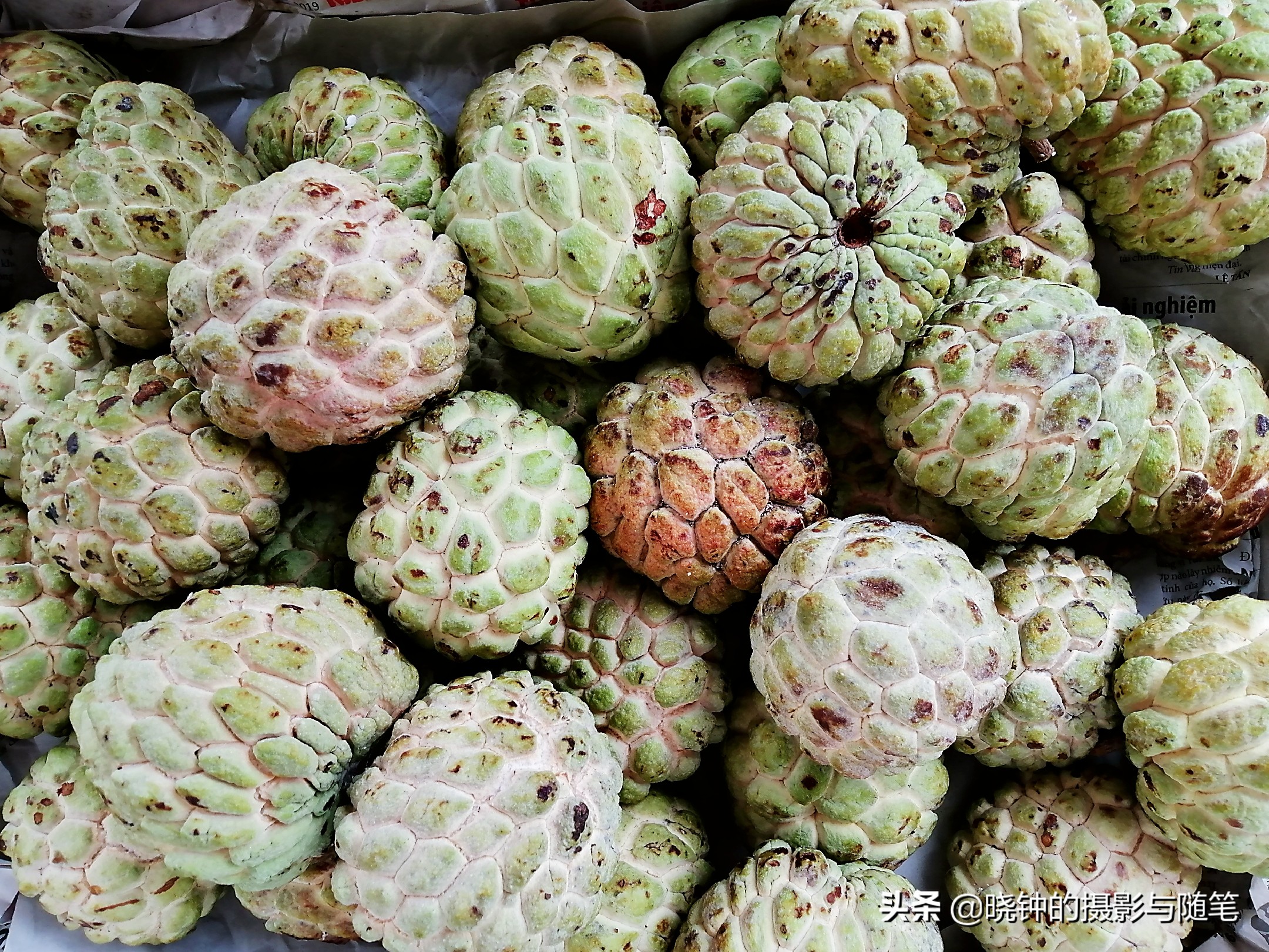 越南哪些水果贵,越南都有哪些好吃的水果