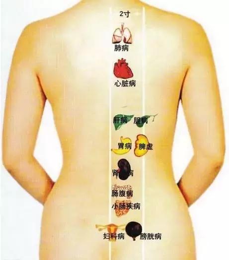 背诊图五脏六腑反射区,足部反射区解析大全