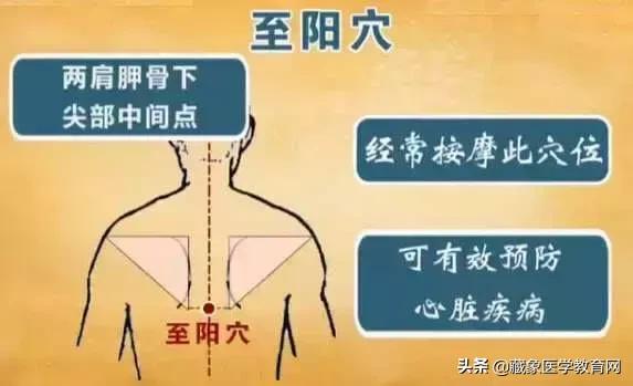健康管理师需要哪些技巧,健康管理师基础知识100条
