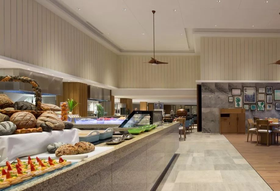 悦动体育夏令营户外拓展篇,2020游学冬令营