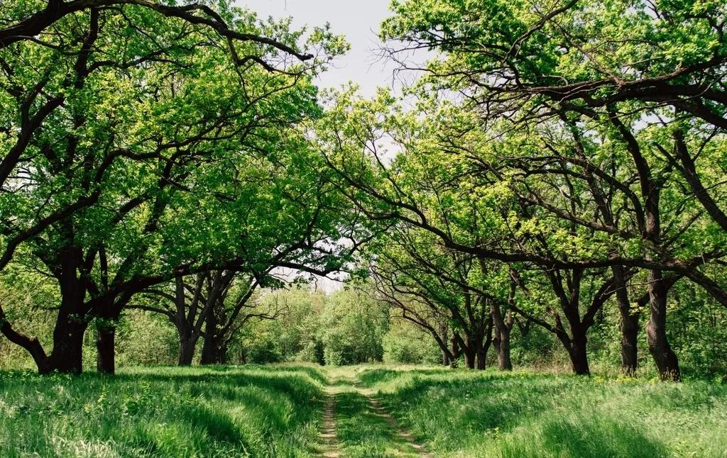 蓝润春风屿湖接房,天府新区蓝润春风屿湖精装房