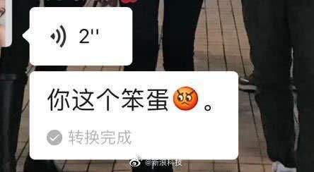 微信语音转文字都能识别出表情吗,微信语音转文字有表情