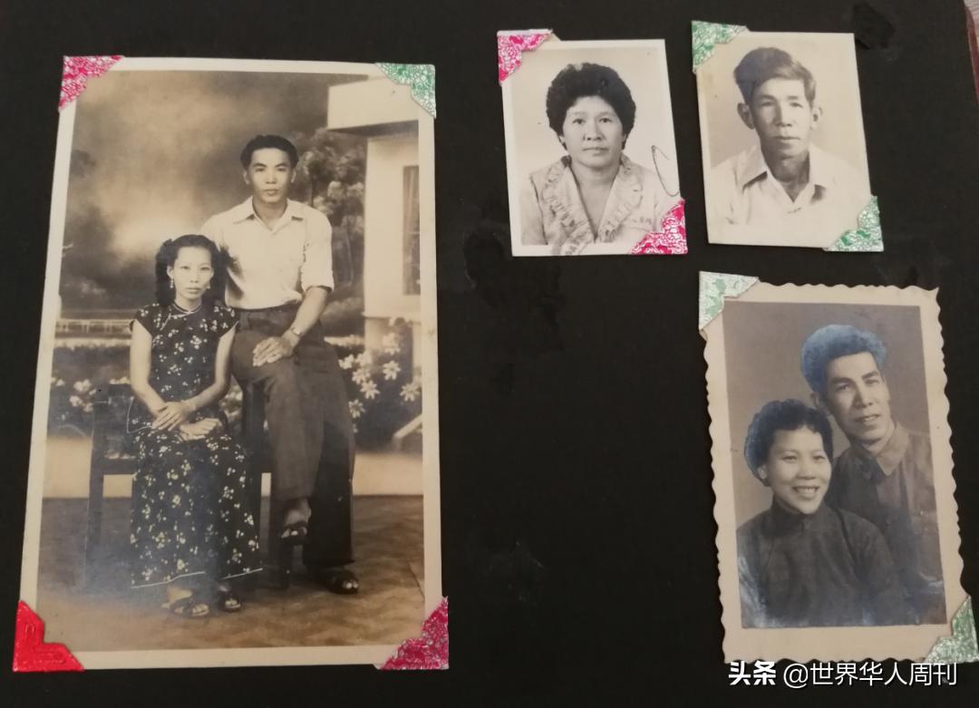 马来西亚华人回家路,马来西亚华人有想回国的吗