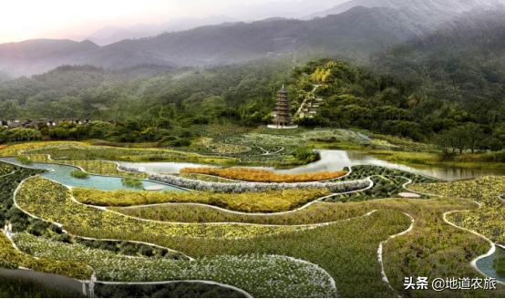 中草药赚钱项目有哪些,中草药康养项目