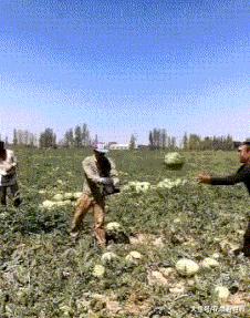 开心一刻gif下雨天,搞笑gif笑到肚子疼意外瞬间特辑