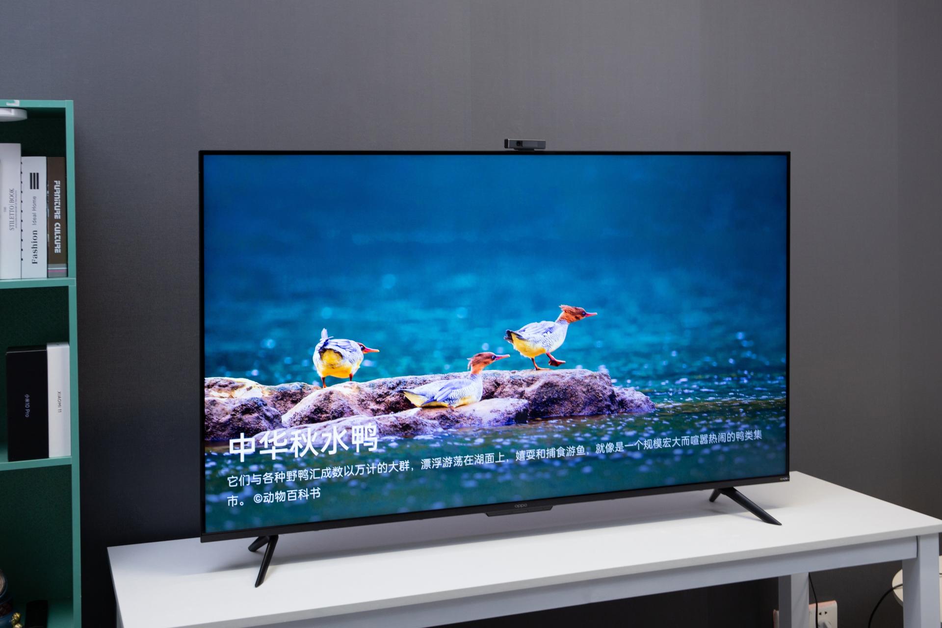 欧洲杯终于来了,智能电视观看欧洲杯