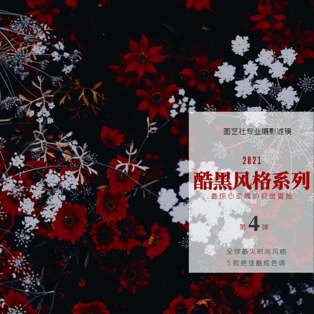 ins风暗黑小众照片,暗黑风ins图