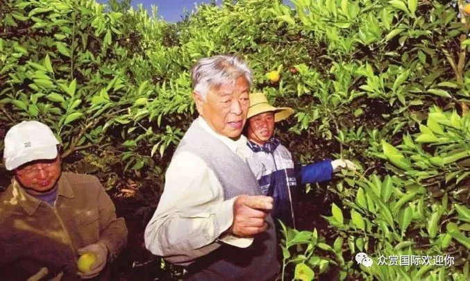 褚时健的人生总有起落,褚时健人生终有起落