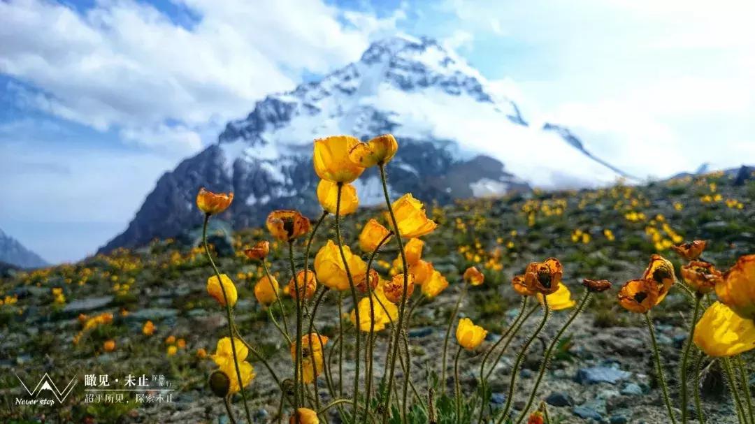 边防证哪些地区是必去的,纯干货赴西藏旅游边防证办理流程