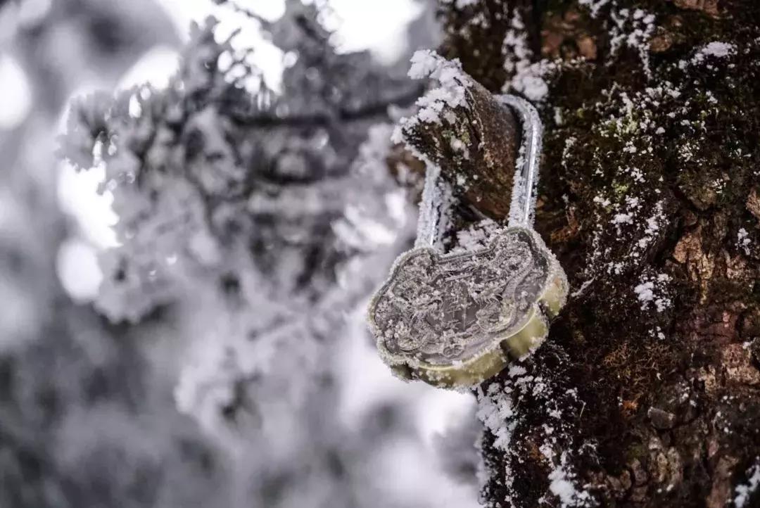 第25届峨眉山冰雪温泉节怎么抢票,2023峨眉山冰雪温泉节是干嘛的