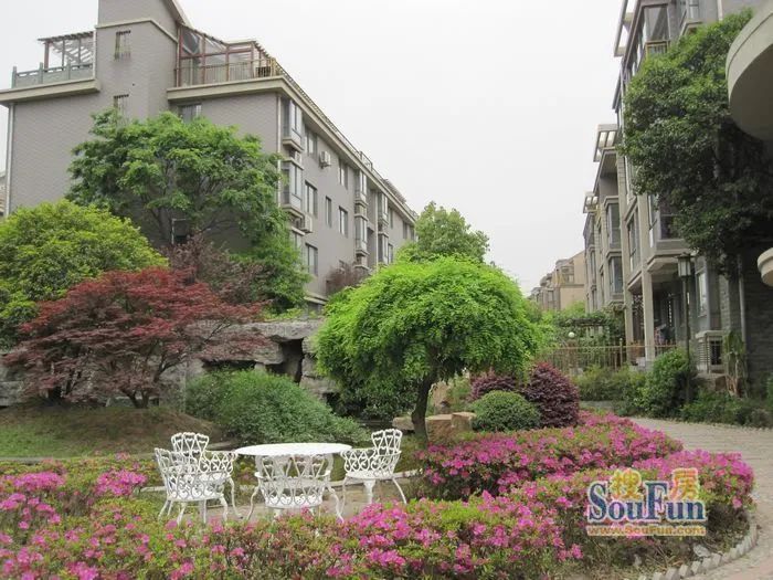 3个月降价34万房子,3个月房价持续下降的城市