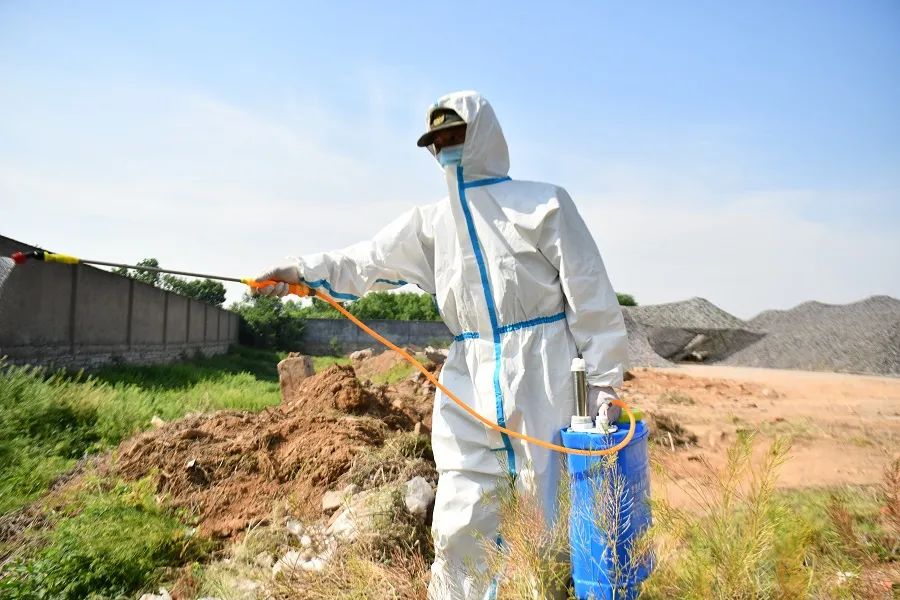 双十一来了快递好不好送,双十一来了快递准备好了吗