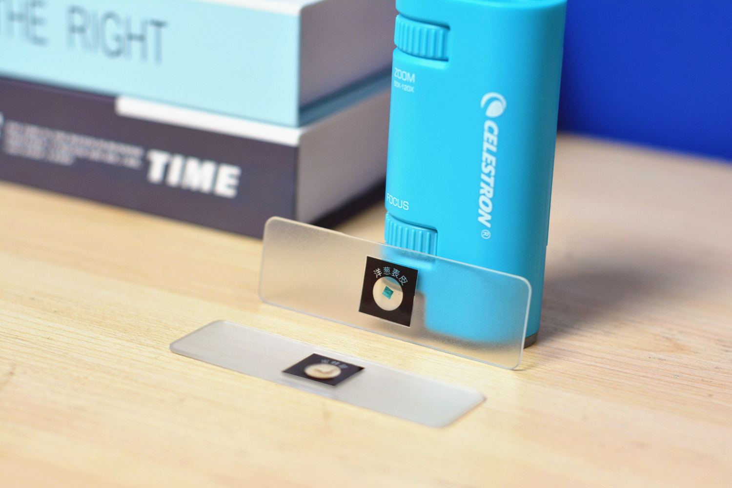 星特朗显微镜型号,星特朗便携式显微镜