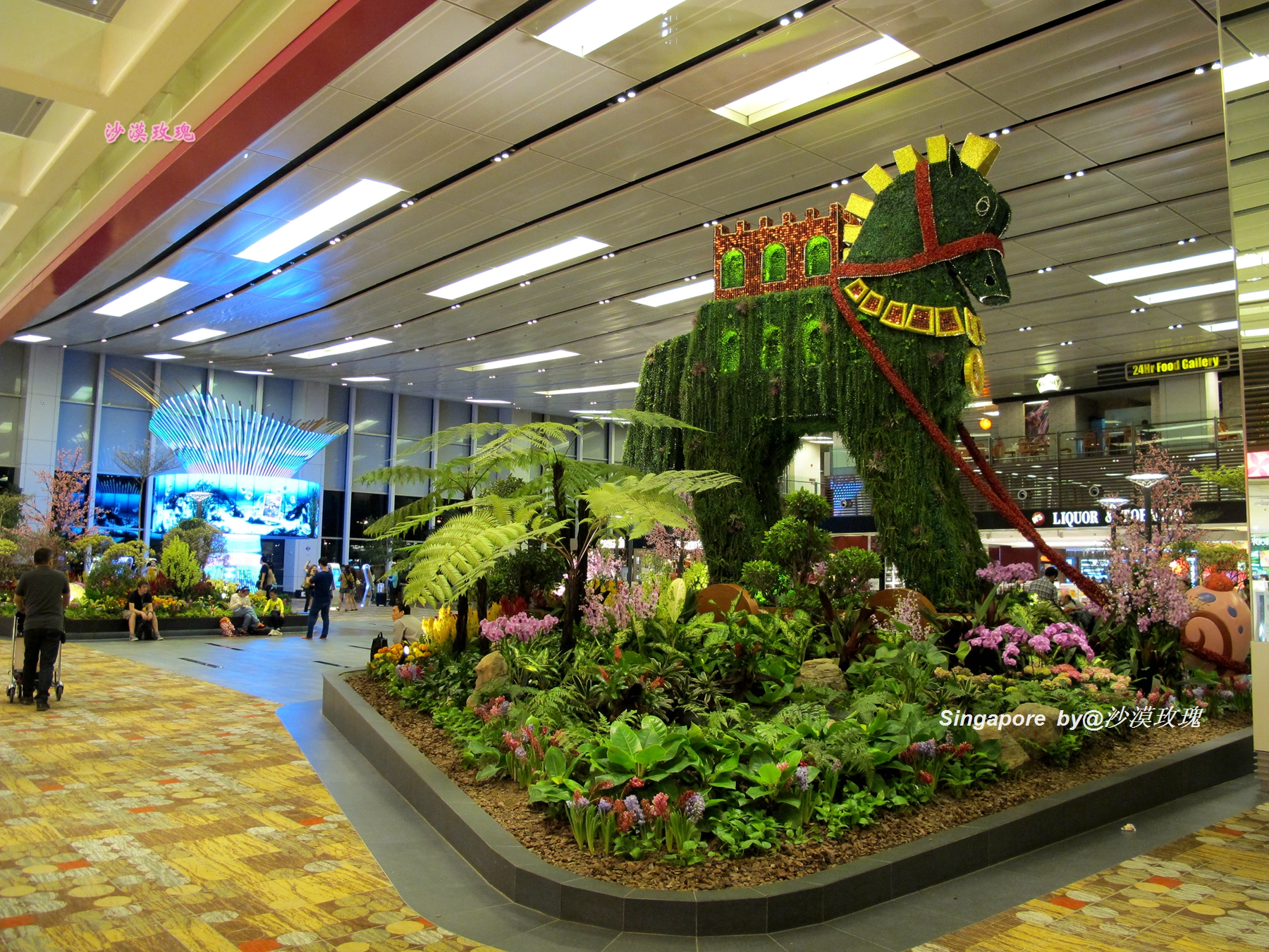 3天2晚旅游冷门打卡地,打卡网红地攻略视频