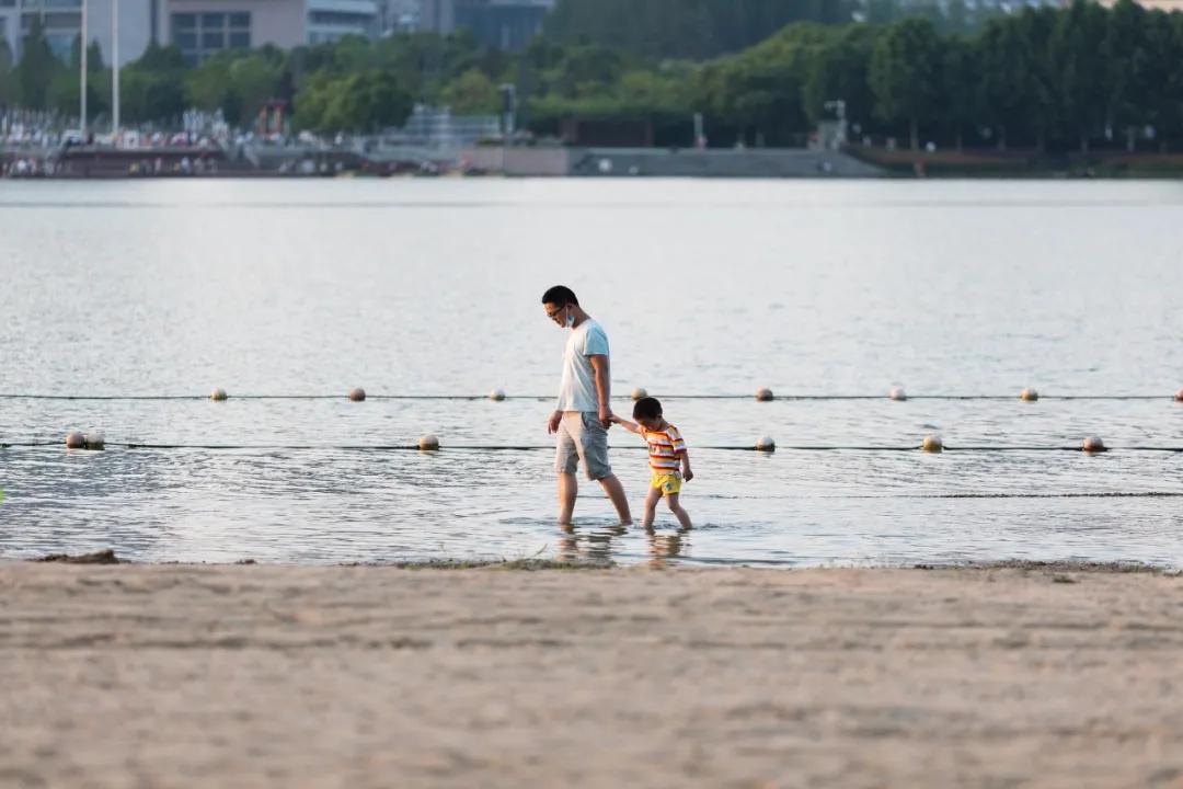 合肥市政务区的天鹅湖介绍,合肥天鹅湖设计