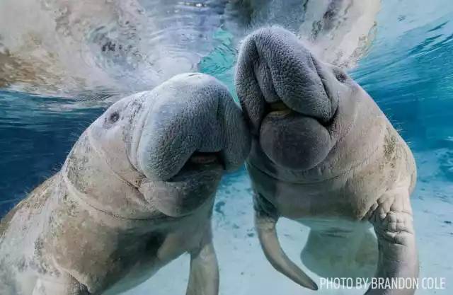 自由潜水怎么玩,潜水20个基本技巧