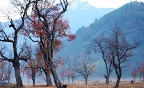 男人一辈子能遇到一个好女人,遇上一个好丈母娘就有福气