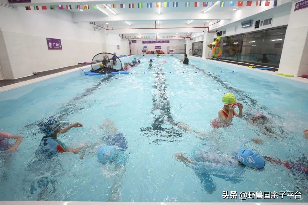 一年20万学费的清澜山学校,都在学些什么?