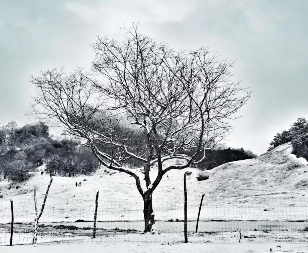 成都周边春节滑雪泡温泉,成都可以玩水也可以玩雪的地方