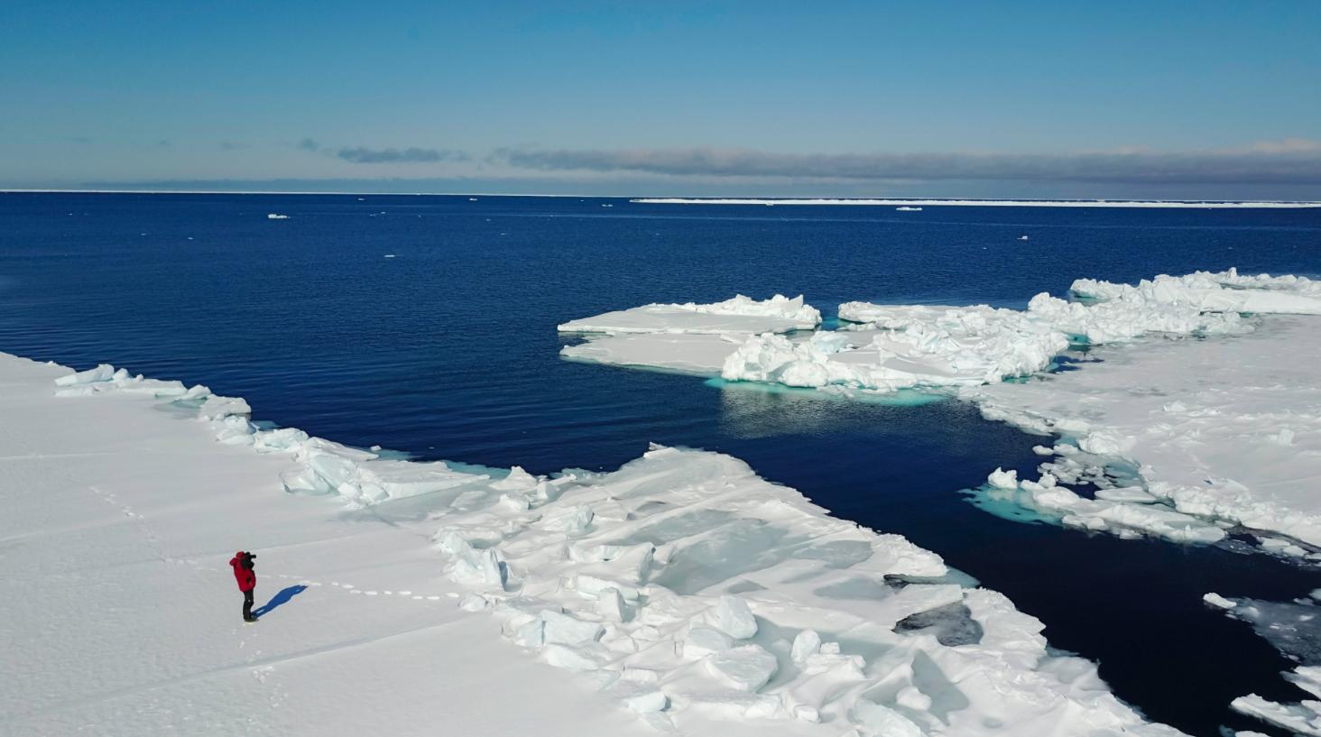 动物不用吃盐吗,宠物真的不能吃盐吗