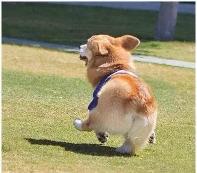 只要不停产会一直回购的化妆品,十大最不建议买的水乳