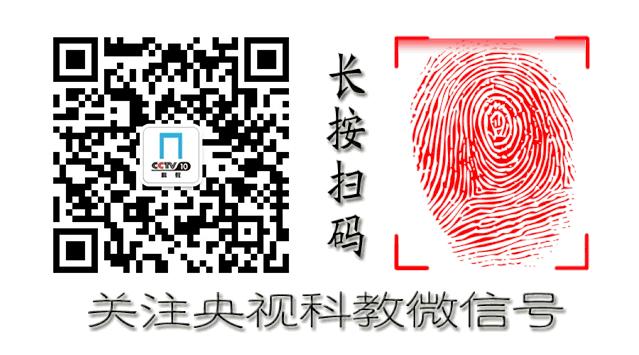 描写春天美景的成语或词语,形容春天的词语成语有哪些