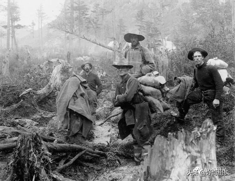 当年俄罗斯为什么低价卖阿拉斯加,俄罗斯为什么会卖掉阿拉斯加