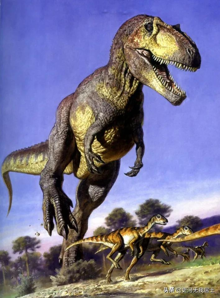 古代雅石图鉴图解,雅石图鉴抽奖视频