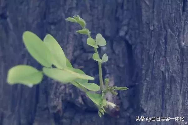 有些味道闻了哪里都不舒服,有一种味道是无法消失的