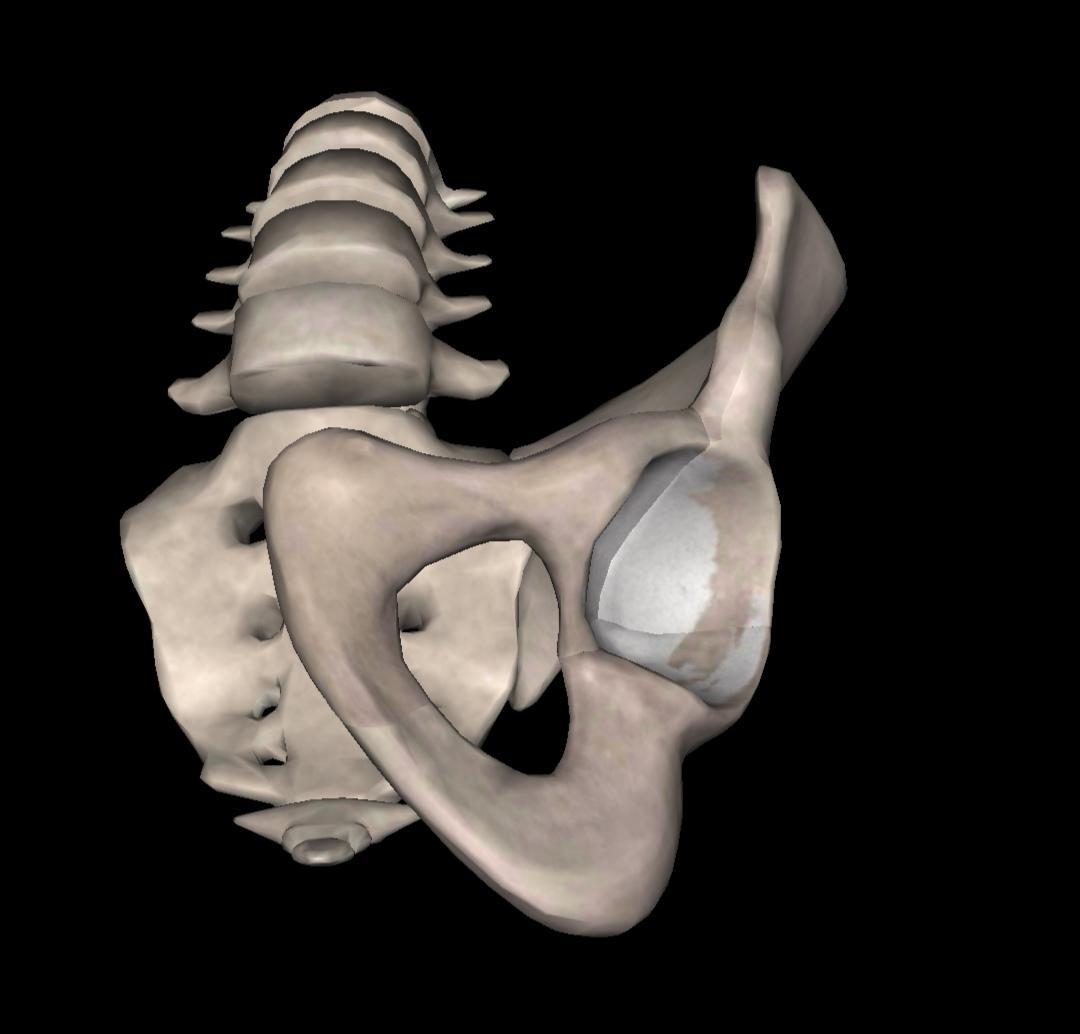 深蹲时臀部眨眼是什么样子的,深蹲时出现骨盆眨眼该怎么办