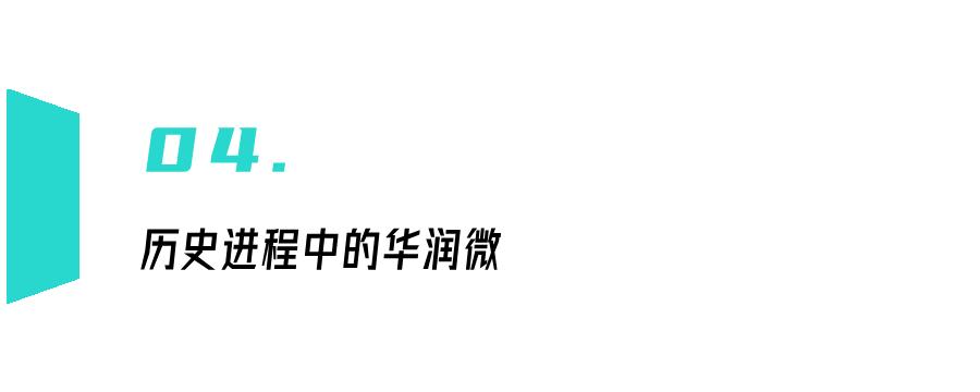 廉颇xyg,廉颇毛遂