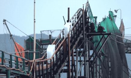 石浦渔港海鲜,石浦渔港码头海鲜