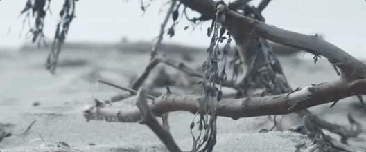 火了十年依旧顶流,火了10年的电视剧