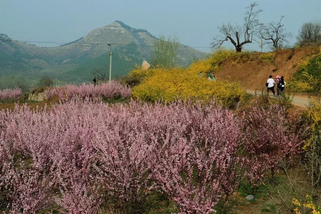 临朐石门坊风景区路线,临朐石门坊风景区