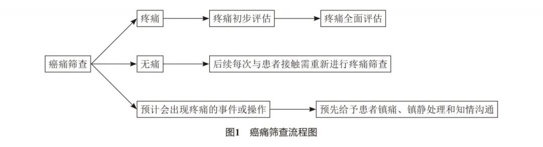 江苏省成人癌症疼痛诊疗规范,2020年版