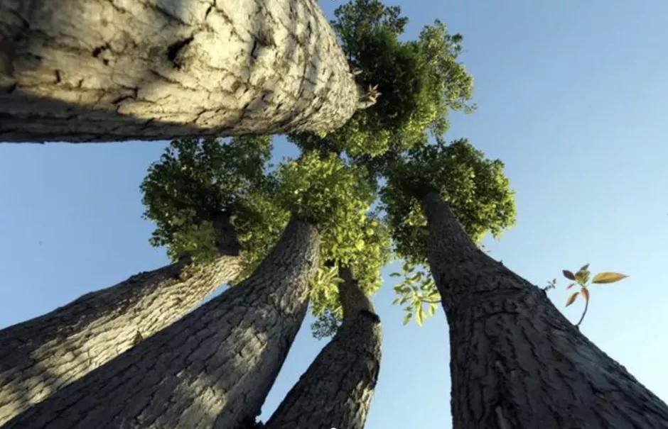 引爆旅游市场！奥体旁将打造蚌埠不夜城！新添古树苑文旅中心