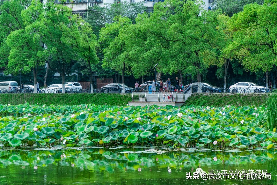 武汉环城绿道,武汉上半年全线贯通的新绿道