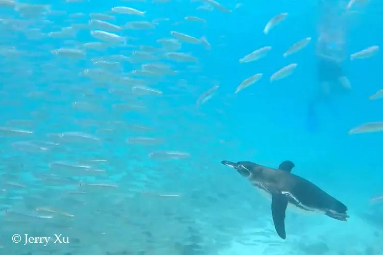 瀹氬埗鍒涙剰鏃呰,鍒涙剰瀹氬埗鏃呰