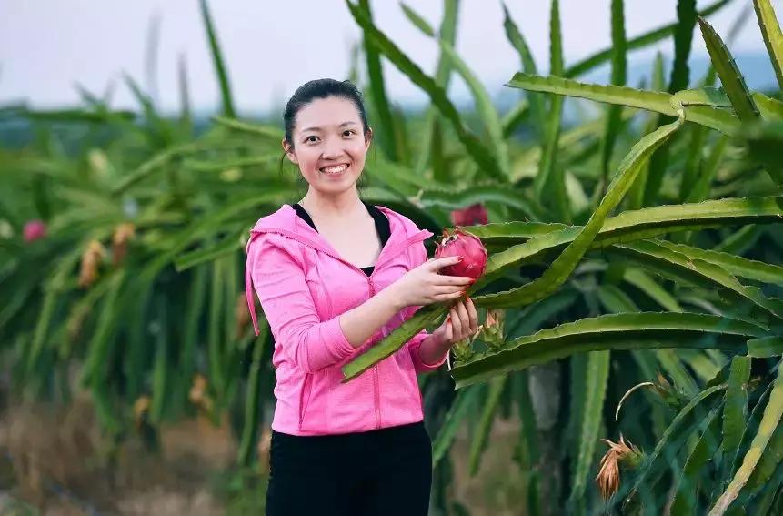 输血不易、造血更难布谷农场科技驱动金融活水润“三农”