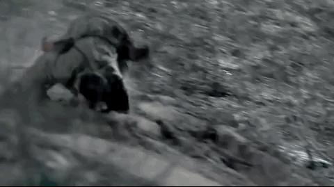 鑻遍泟鍎垮コ鍜岄暱娲ユ箹,鑻遍泟鍎垮コ涓庨暱娲ユ箹鐨勫叡鍚岀偣