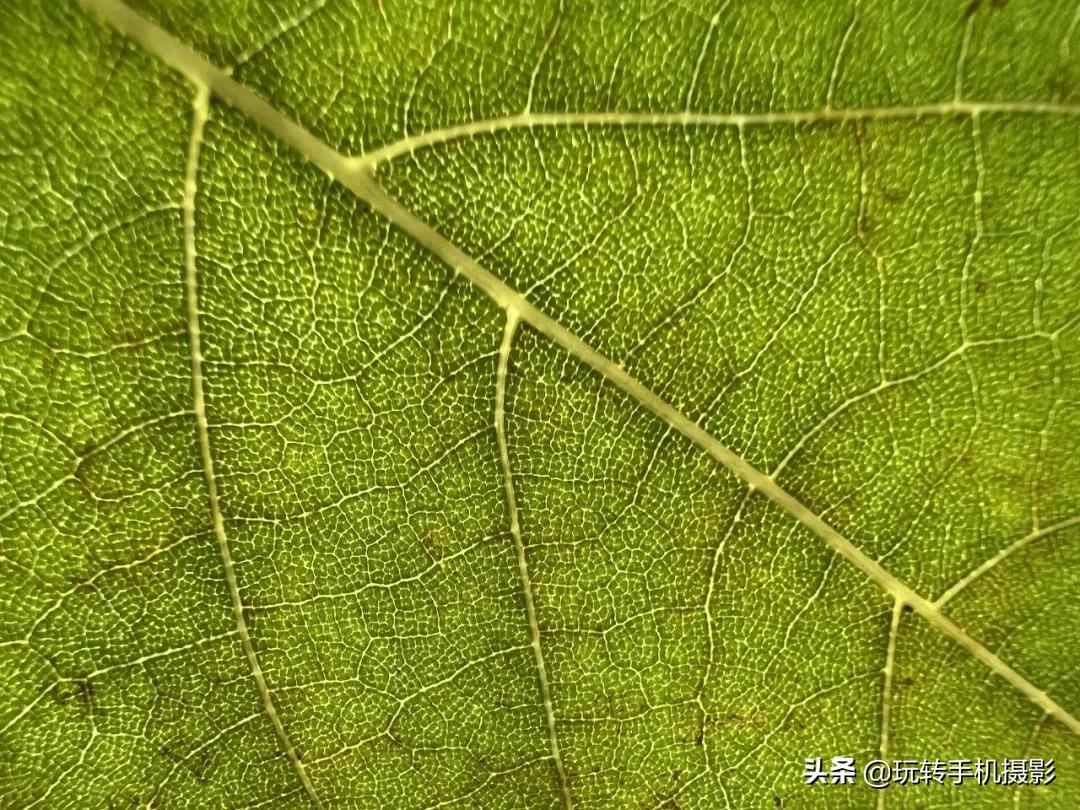 iphone13系列拍照评测,iphone13系列评测