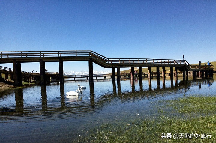 巴音布鲁克草原的特色,巴音布鲁克好吗