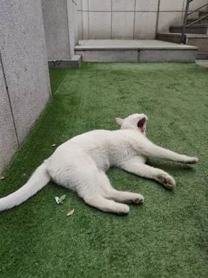 在北大就读是一种怎样的体验视频,在北大读书是什么体验知乎